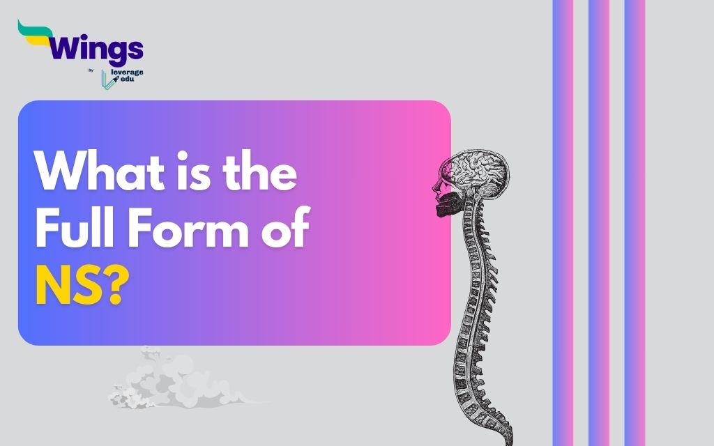 What is the Full Form of NS? Leverage Edu